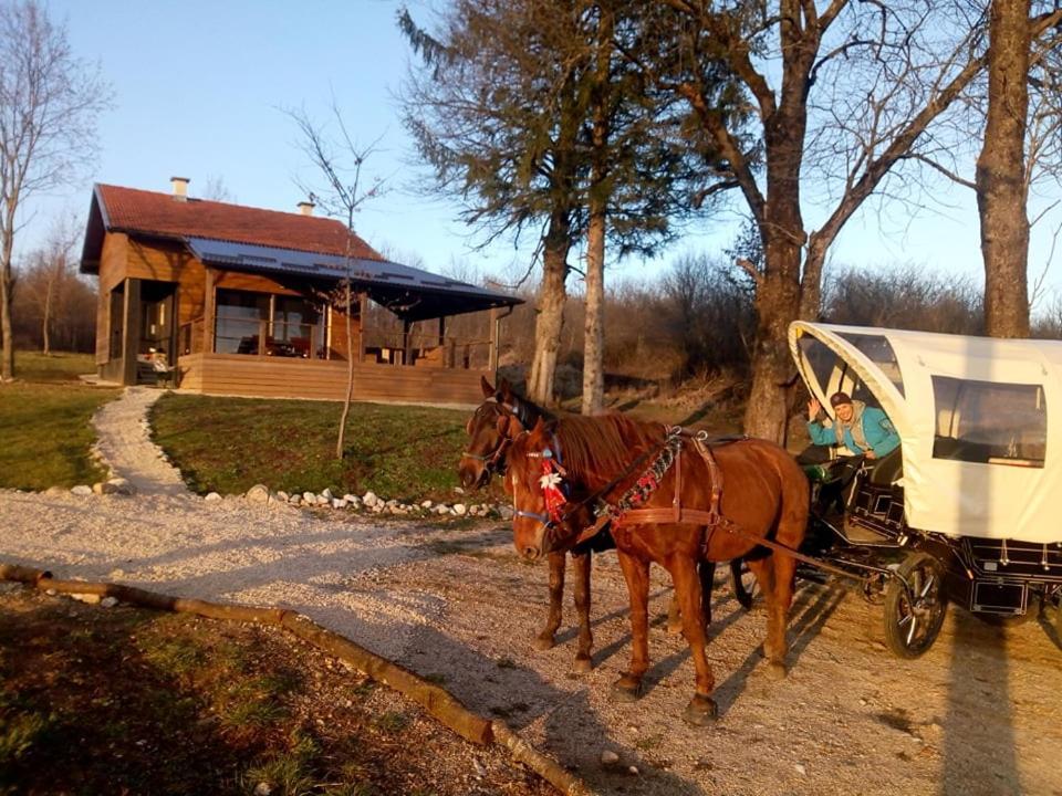 Evergreen House Plitvice Rakovica Eksteriør billede
